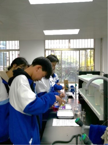 陆川智宇中学高一学生到2023白菜网站注册大全实验教学中心开展研学活动