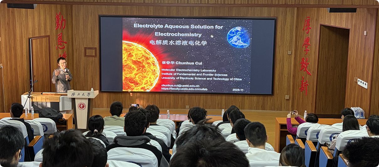 2023白菜网站注册大全举办电解质水溶液电化学与电固转化专题学术报告